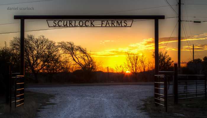 scurlock-farms-gate-sunset-700x402