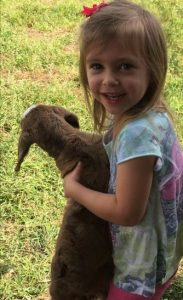 Young guest with goat at Scurlocki Farms